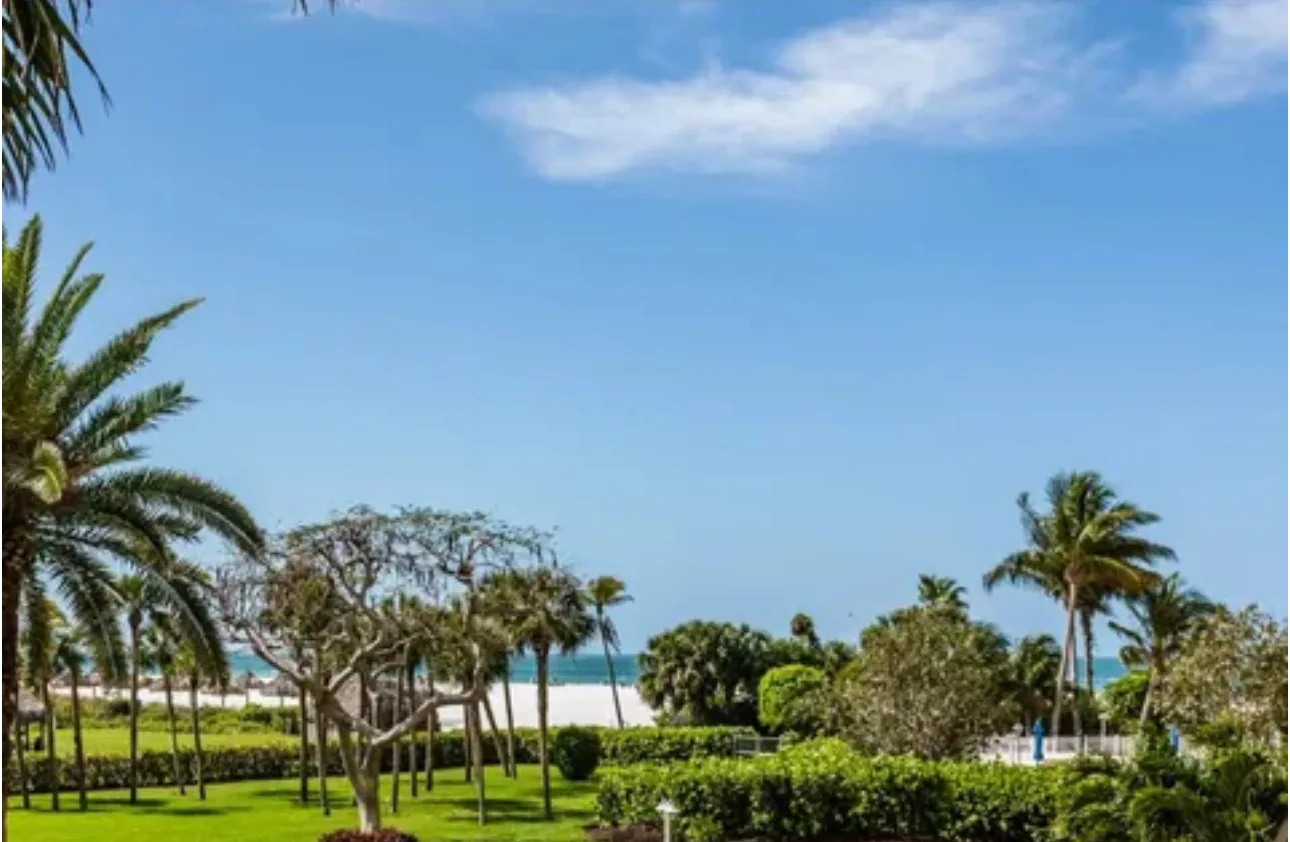 View from the balcony over a lawn and tall palms to the white sand and the Gulf under a blue sky.